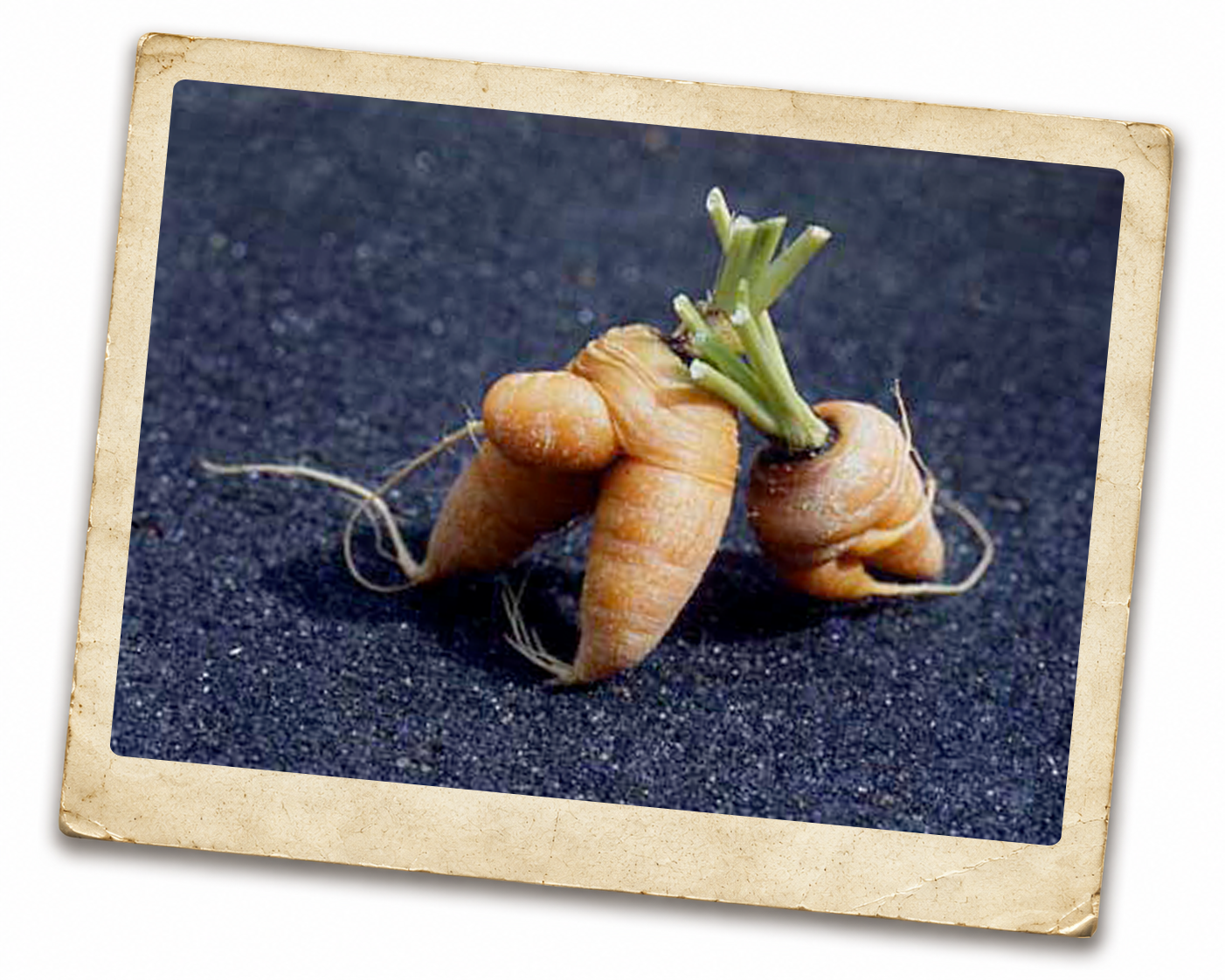 Artist