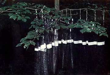 Installation