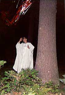 Tree Installation